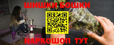 тгк Обь