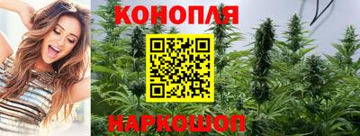 тгк Обь