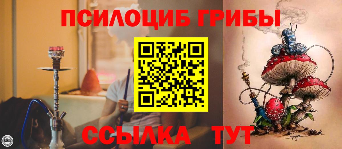 Серпухов  Галлюциногенные грибы Psilocybe  Вход с VPN 